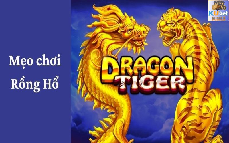 kubet - Mẹo Chơi Rồng Hổ Không Thể Thiếu Danh Cho Tân Binh 3 Mẹo chơi Rồng Hổ nên áp dụng